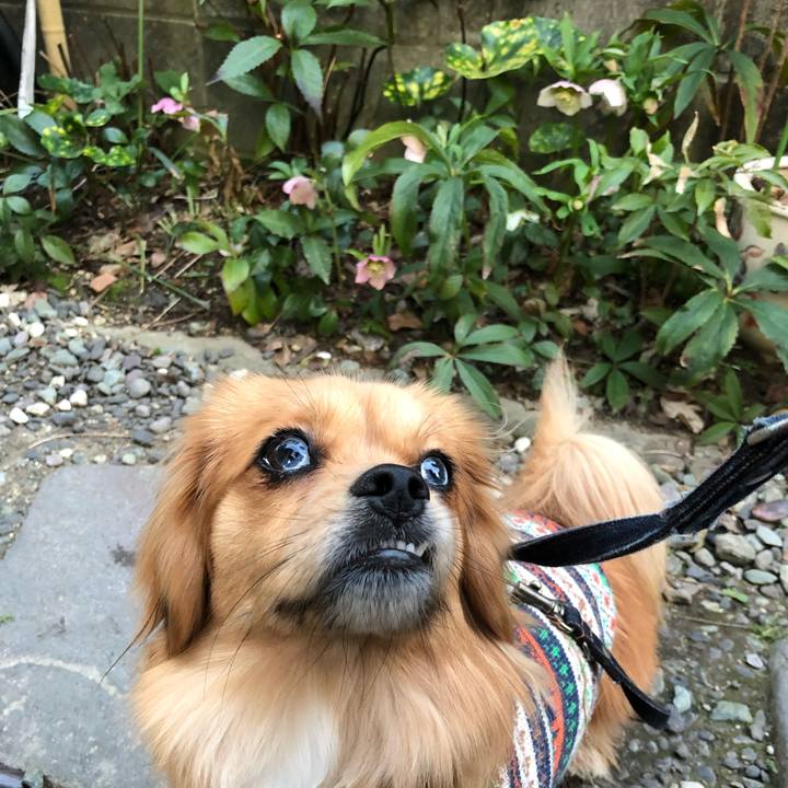 Ff09cee5 8c32 40be 96b8 5c08fa5442c1 1521063416684