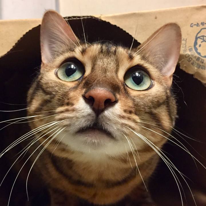 Ff09d603 def8 4cc5 8d15 3c99bd72ee5f 1530318050757