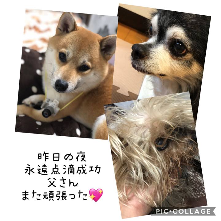 Ff0a13b2 0dab 45a0 8d70 1cf69076bea7 1548899033978