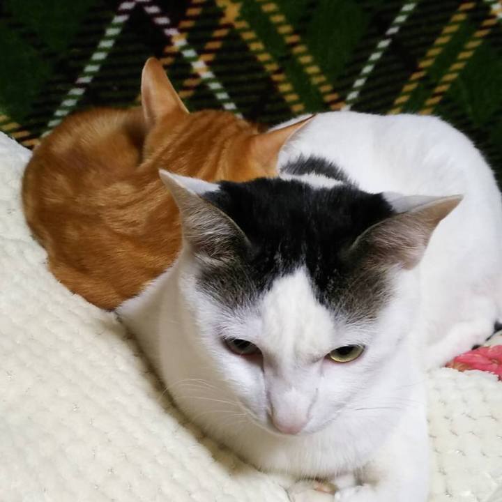 Ff0a1b05 01ea 447e b448 0c44d7680127 1608253909682