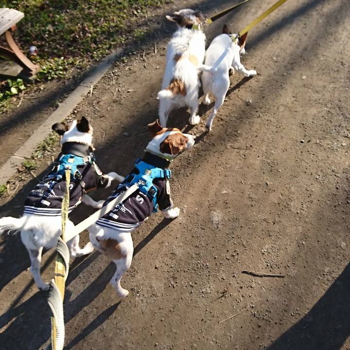 Ff0a2397 7ebb 4be3 bc6f 2d8eafb0dba7 1577601328516