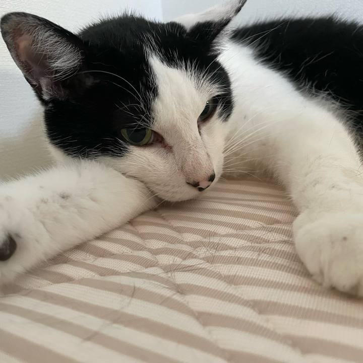 Ff0a3812 f56f 4fca 878f f0db1928fbe8 1660510258013