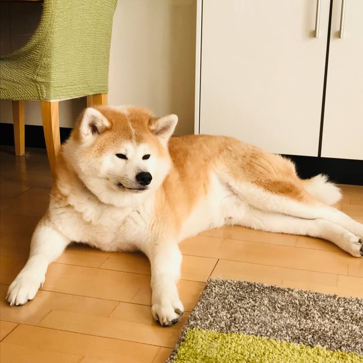 Ff0a3c09 c65c 49bb aefa a1defd93fedc 1554037635283