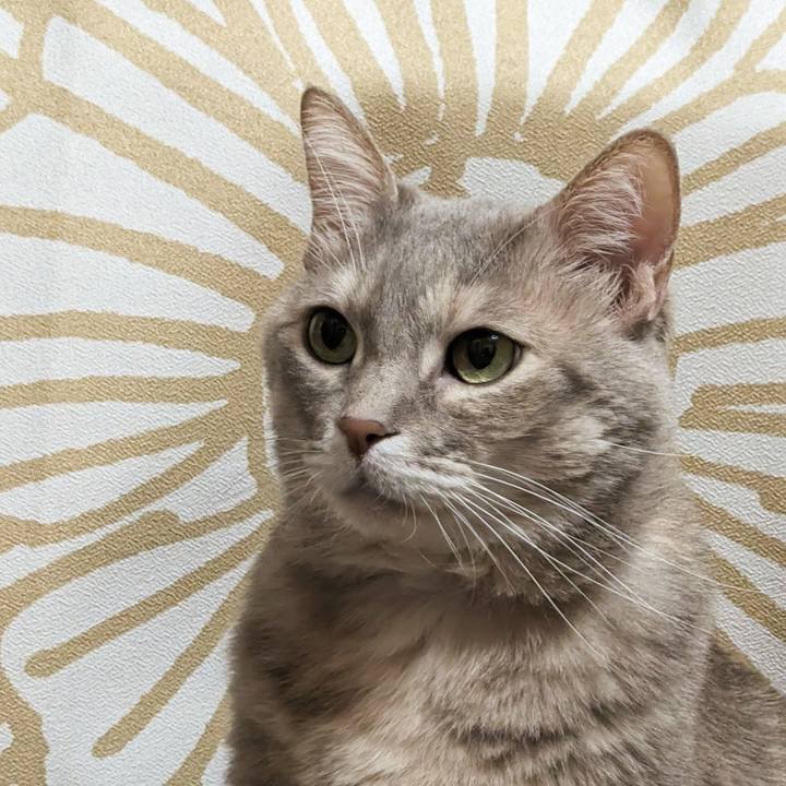 Ff0a61d1 ccba 4348 bfc2 16c87828a6cd 1709700384975