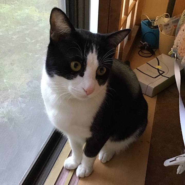 Ff0ad035 bed9 4d0f b7fa be15e15239a9 1650100475127