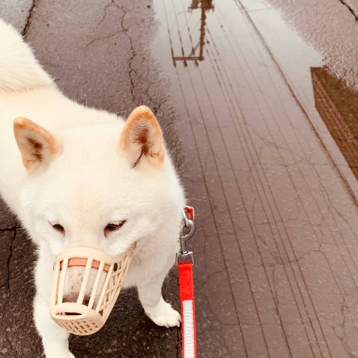 Ff0b1fb7 ec49 4add 88e2 c5c139244eee 1557179188989