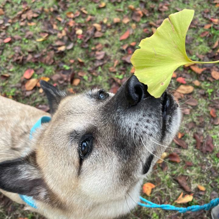 Ff0b4d66 0ea9 4620 8a80 b6ed5991e09f 1729940682480