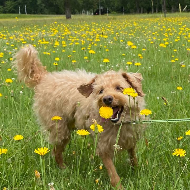 Ff0b5cc7 ed22 4ccb 8749 b83af91d98a8 1626216499127