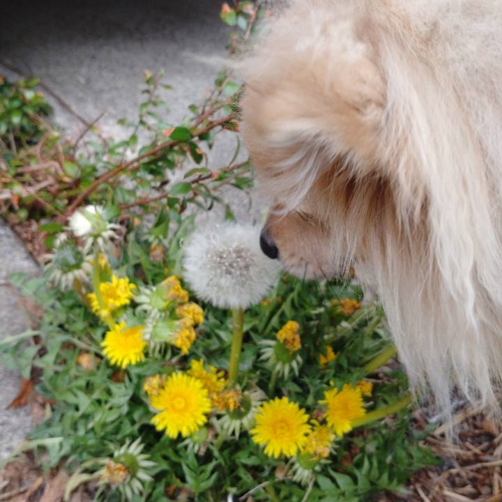 Ff0b7ec5 0bef 4b49 afa8 d61973116dbc 1743640637000