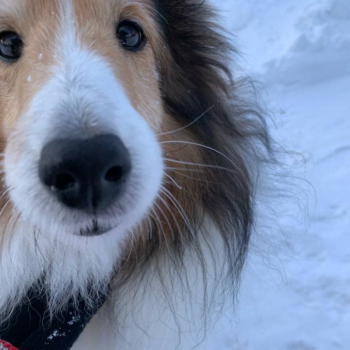 Ff0b88c2 d1f2 4a93 a83a 4512c8552186 1579931801567