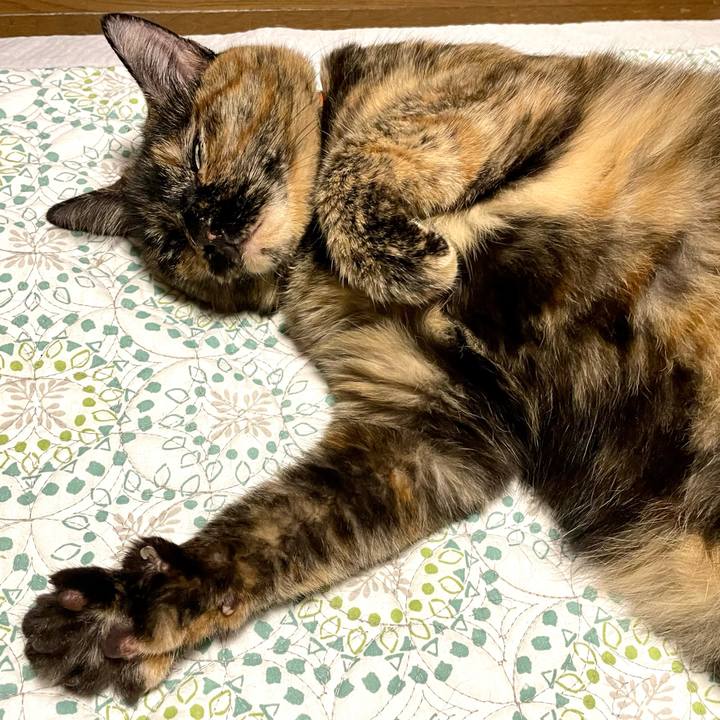 Ff0bc823 1a51 44b4 b0a9 f2efaa9ec35d 1692445488870