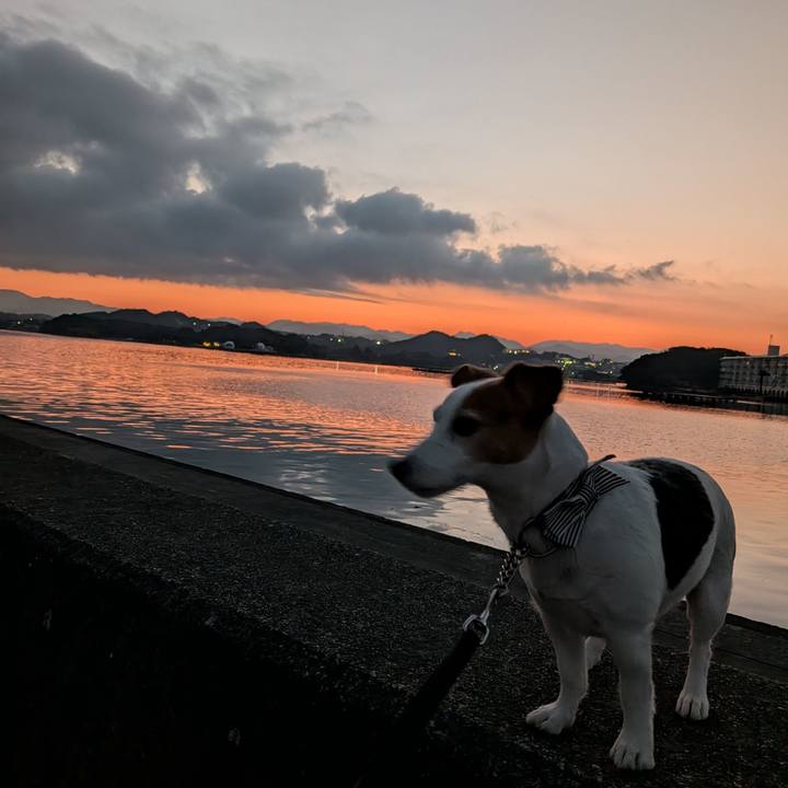 Ff0bda77 e244 457f a5c4 f2c3cb87bfdc 1768774905154