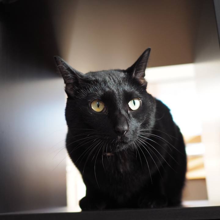 Ff0bf1d2 5732 4b99 90a1 3659ff5848e6 1543535497426