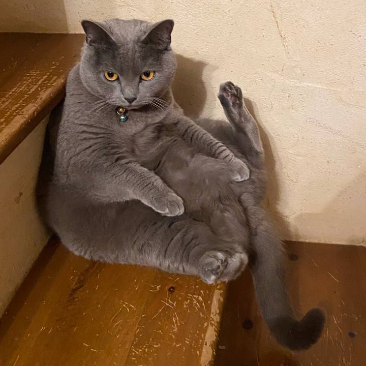 Ff0c2b33 c02b 4411 905f d16faff534a0 1583576666969