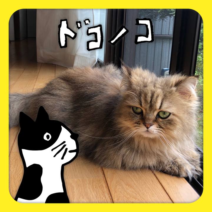 Ff0c39f1 fab1 4a70 8bff 4acbeeddf320 1622862638166