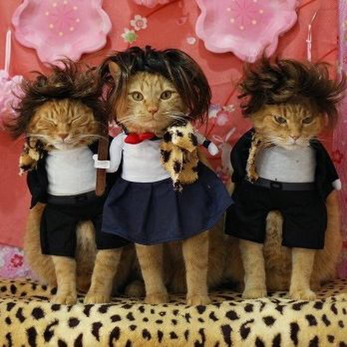 Ff0c99cc 9834 4d5f 8dbb 4226768edf0a 1585741021159