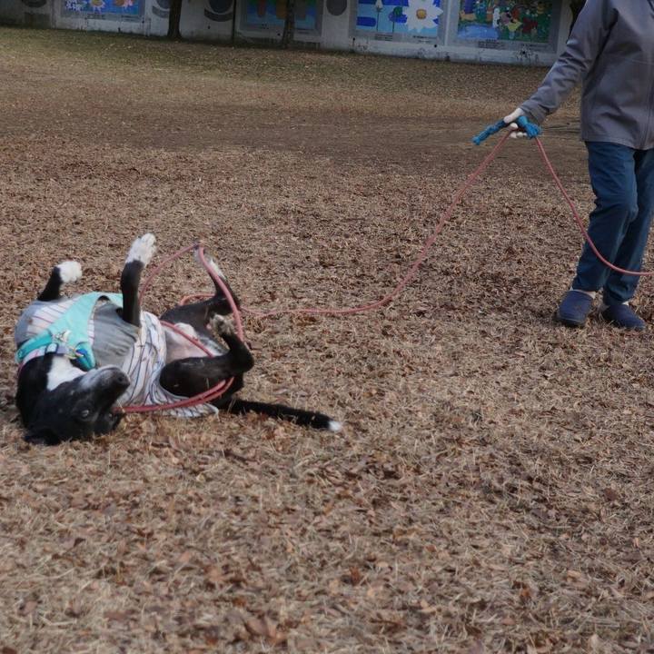 Ff0cb6ff 1693 4ada ba7a b73aae26bff8 1769475070627