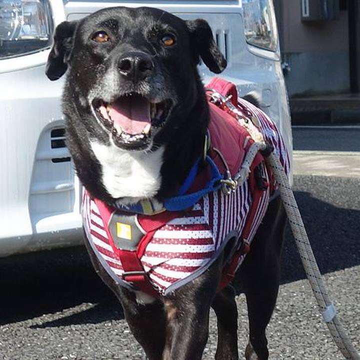 Ff0cc1ff ce23 49e2 85e7 034475f2d94b 1686875030678