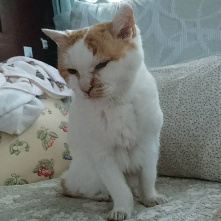 Ff0d8083 043c 42df a1ad 3837847726e9 1566335699964