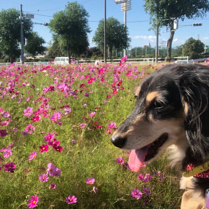 Ff0d9351 dbd3 42d7 8802 236600d7a59c 1603693150562