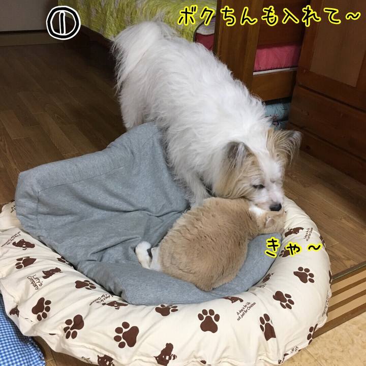 Ff0db3bf f89e 4090 958a fbfbbc6b0eb0 1511152946372