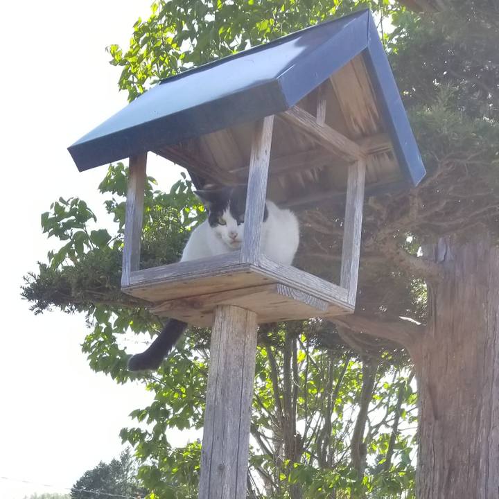 Ff0dba87 1171 4658 a893 2582a9479b04 1621521419240