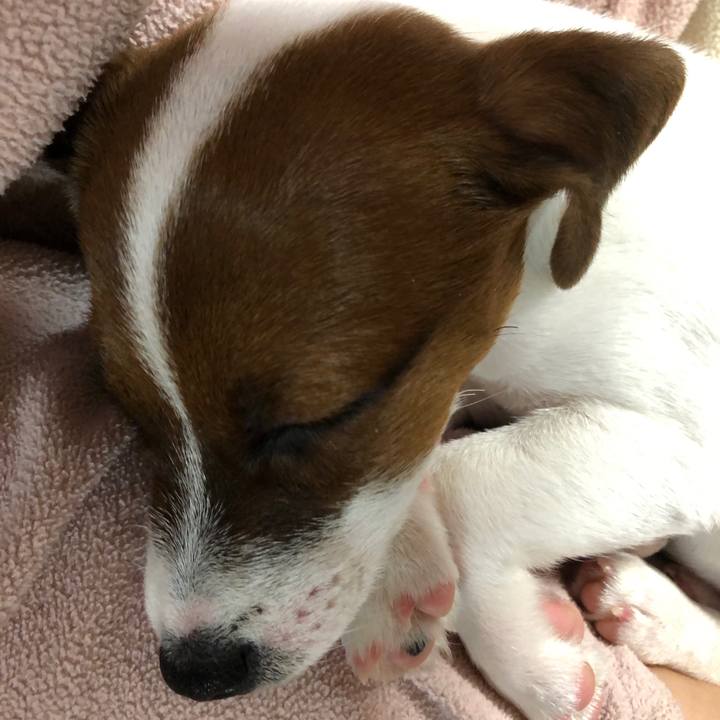 Ff0dbc56 bdce 420f bdf8 cc8a75f95b47 1512568301677