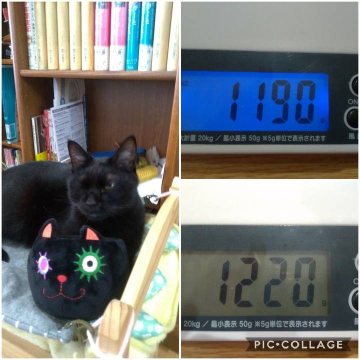 Ff0dc663 c5ce 436a abae d5ec646ad347 1568691098331