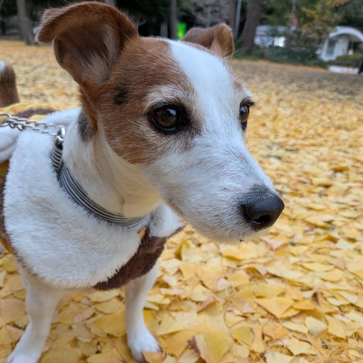 Ff0dc9cd 07f7 44dd 93b8 770f44547612 1765702741303