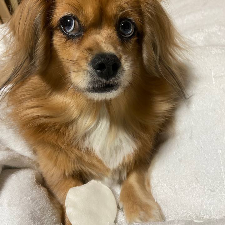 Ff0df1ee 7fa9 404d 8ad8 96f38e44af57 1666817968698