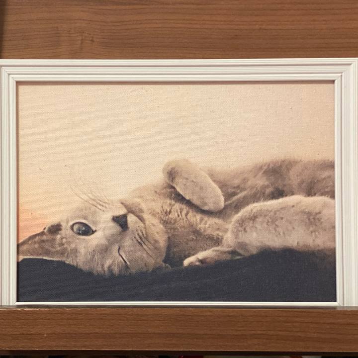 Ff0df237 eecd 49fc b635 ff6a5b66e339 1628513026354