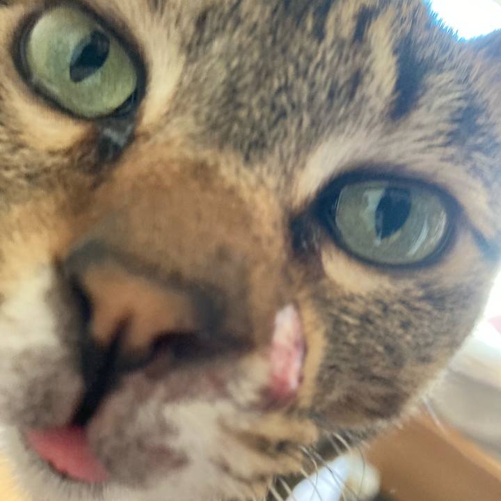 Ff0e26a4 aacf 4aba 84cf a0e3491ae294 1639964995365