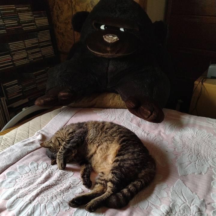 Ff0e5dde 009b 4440 a977 63e8461d9ce9 1689638590909