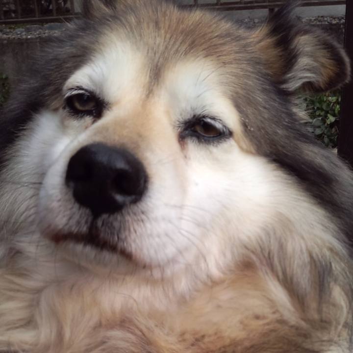 Ff0e7ac2 0630 42ea a7e1 2bdee85ae2f0 1553522860148