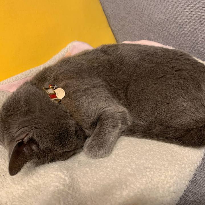 Ff0ea257 69b8 4567 bec0 cd9f5eaeaa8f 1647773830786