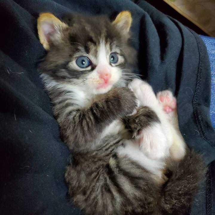 Ff0ea3d7 54df 401c 8d02 3e0fe74ee7af 1624108730129