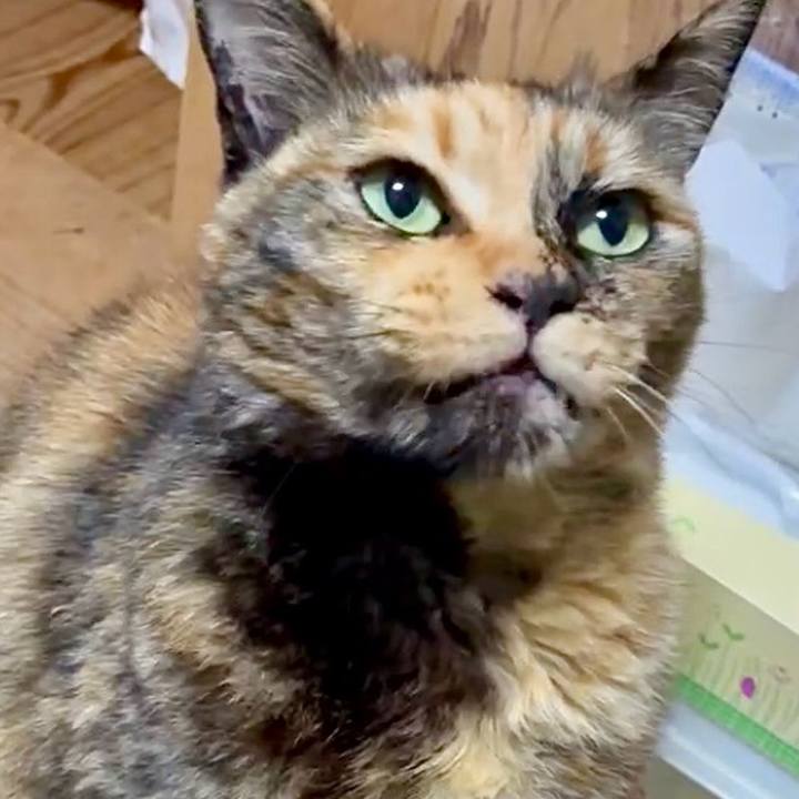 Ff0ec028 9760 49d6 8270 793eed89a03f 1747568422212