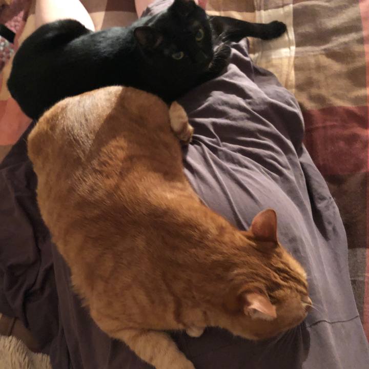 Ff0eca74 934f 47d4 90ff 2bbb33f0b2f4 1680171673547