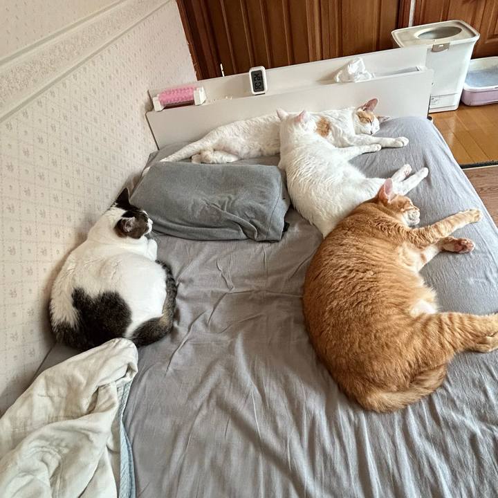 Ff0f1502 291b 45d1 ae9f 105c21f6de63 1687648036279