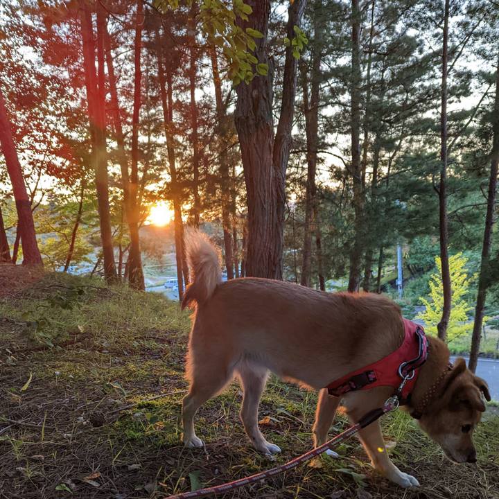 Ff0f5028 1692 461a a391 04fc9139fd9d 1664631545747