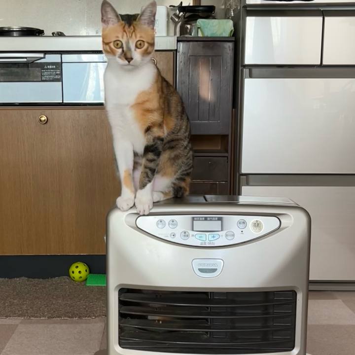 Ff0f6dc4 3772 44c5 bbf5 ccf7d8c50ec0 1667341550525