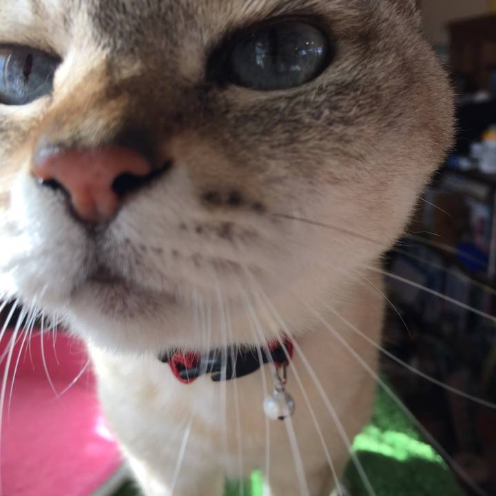 Ff0f7f83 cf0f 4e8a 9e57 b45560ce3421 1547008928142