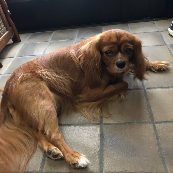 Ff0f8396 cbf0 4d00 81fa 96fb913eccbf 1596578214733