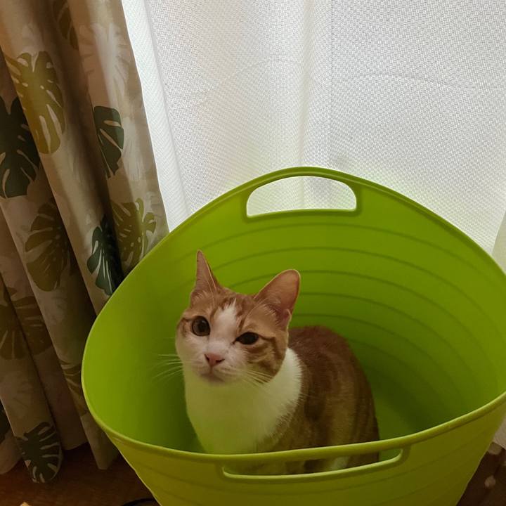 Ff0f8e28 cdb9 4ead b76d c17501b38166 1679994465749