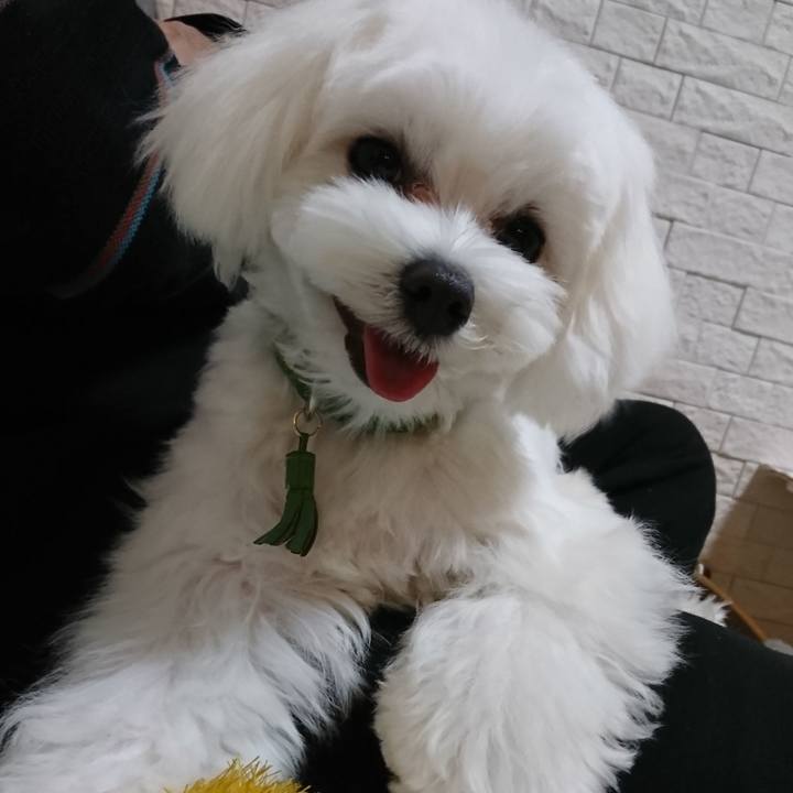 Ff0fa71c abb8 4cef 82c9 41281305ea79 1605110646264