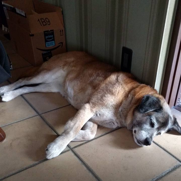 Ff0fb19d 632f 4bdf bc3c 5fbc416f8302 1556003149269