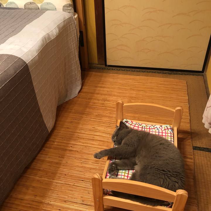 Ff0fbb70 8b90 484a abf0 890ea1efa2ac 1563372756292