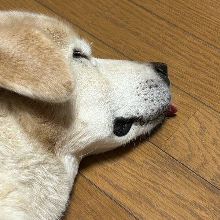 Ff1005fc 4c7b 465d ab13 0f298a6134f4 1720451557887