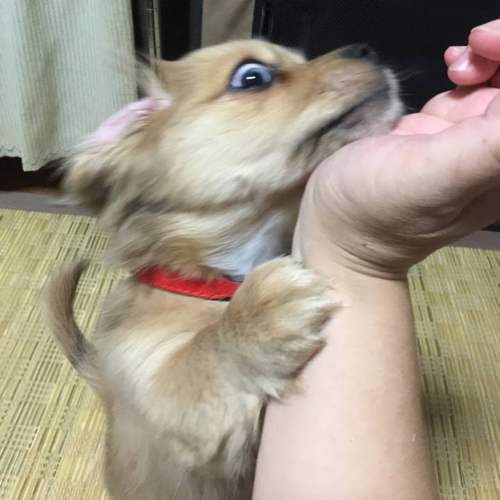 Ff100900 513f 4910 8481 c533e0d8a526 1536789631737