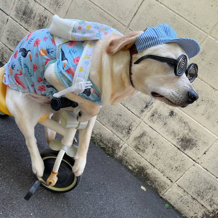 Ff102f19 b5b7 4fcf af5e ff34cca98a4b 1624519502592